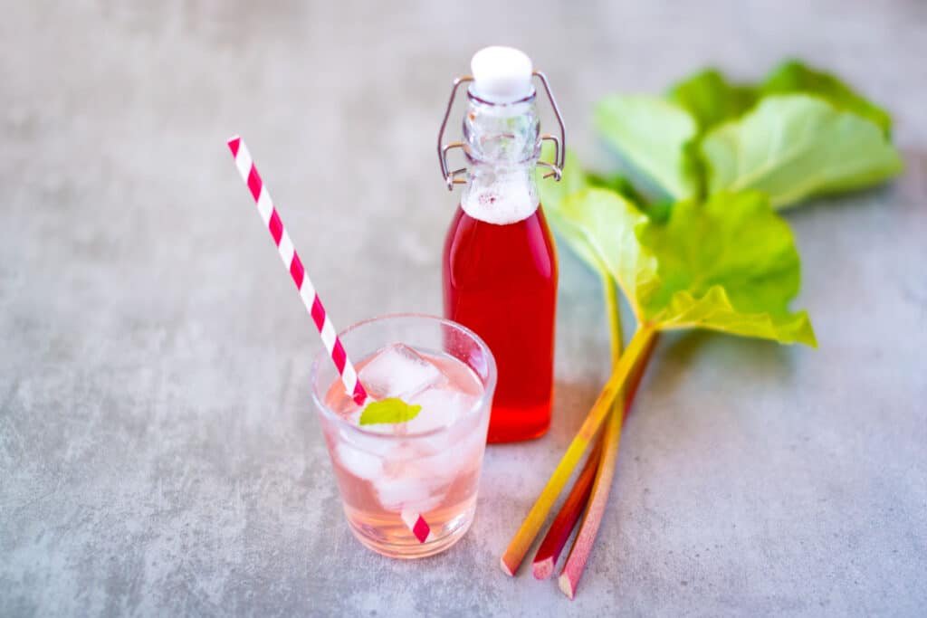 Rhubarb Liqueur Recipe